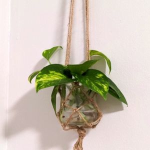 Macrame Plant Hangers Indoor Jute Hanging Planter (plant not included)